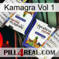 Kamagra Vol 1 12